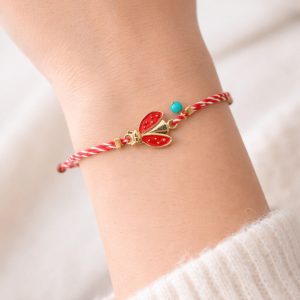 Μάρτης Ladybug 🐞